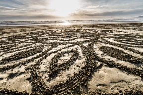 Team Sand Drawing, Hiking, & Beach Picnic
