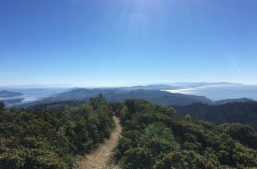 Mt. Tam Views and Redwoods hike