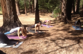 Living the Dream:&nbsp; Yoga and Hiking in Yosemite