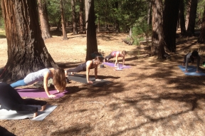 Living the Dream:&nbsp; Yoga and Hiking in Yosemite