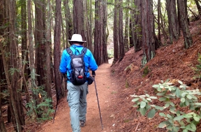 Matt Davis Trail  to the West Point Inn