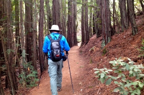 Matt Davis Trail  to the West Point Inn
