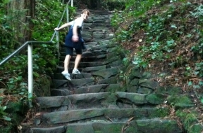 Dipsea Stairs to Tenderfoot Trail