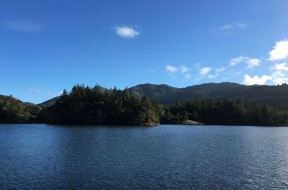 Bon Tempe and Lagunitas Lakes and Redwoods
