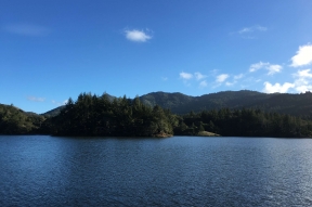 Bon Tempe and Lagunitas Lakes and Redwoods