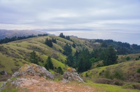 Trail Running 101: The Dipsea Trail
