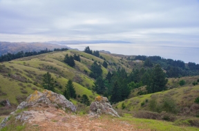 Trail Running 101: The Dipsea Trail