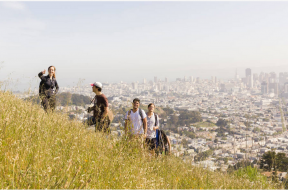 Urban Jungles and City Heights