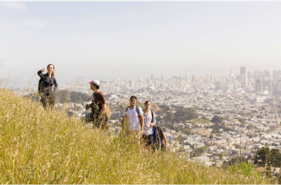 Urban Jungles and City Heights