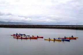 Pillar Point Harbor Tour