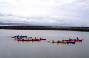 Pillar Point Harbor Tour