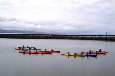 Pillar Point Harbor Tour