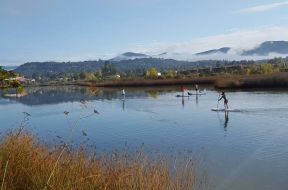Introduction to Stand Up Paddling on the Napa River