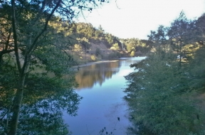 Beginning/Intermediate/Advanced Trail Running Basics: Mt. Tam Lakes & Northside