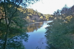 Beginning/Intermediate/Advanced Trail Running Basics: Mt. Tam Lakes & Northside
