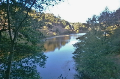 Beginning/Intermediate/Advanced Trail Running Basics: Mt. Tam Lakes & Northside