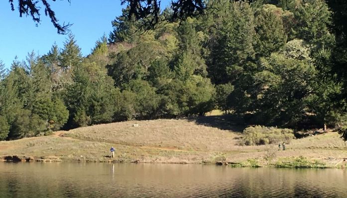 Bon Tempe and Lagunitas Lakes and Redwoods from Outdoorsie