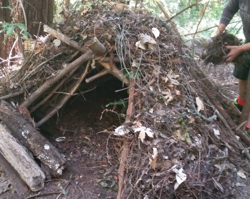Wilderness Survival from Outdoorsie