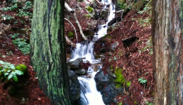 Dipsea Stairs to Tenderfoot Trail from Outdoorsie