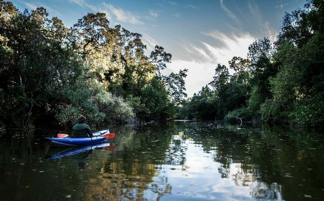 Outdoorsie - Napa River -&nbsp; Living River Tour