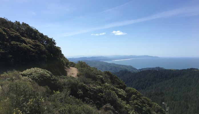 Outdoorsie - Mt. Tam Views and Redwoods hike