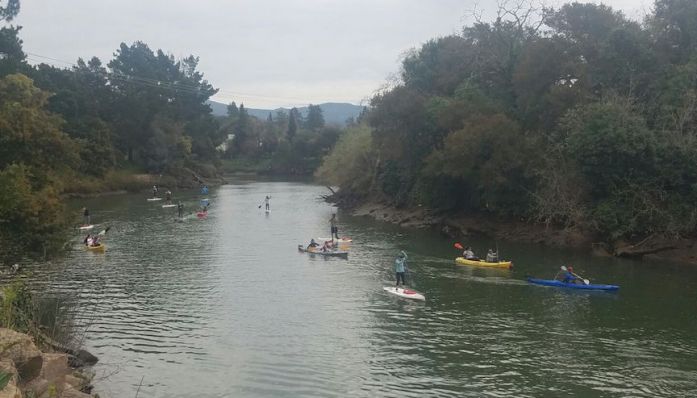 Napa River Team Paddle & Conservation Excursion from Outdoorsie