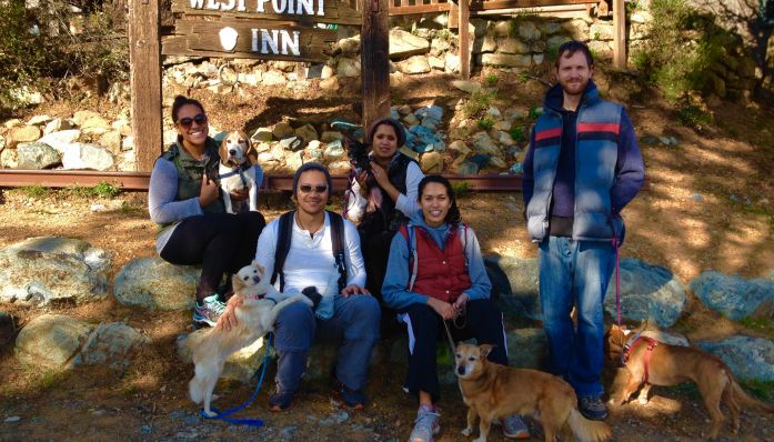 Outdoorsie - Matt Davis Trail  to the West Point Inn