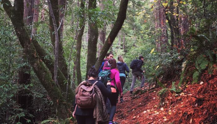 Blithedale Ridge Hike from Outdoorsie