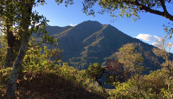 Outdoorsie - Blithedale Ridge Hike