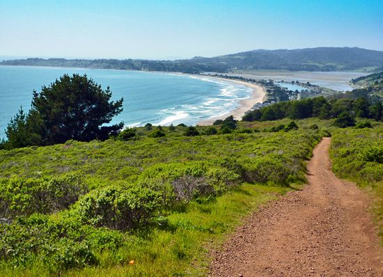 Trail Running 101: The Dipsea Trail from Outdoorsie