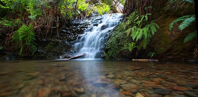 Outdoorsie - Wilderness Skills & Survival Clinic, Santa Cruz
