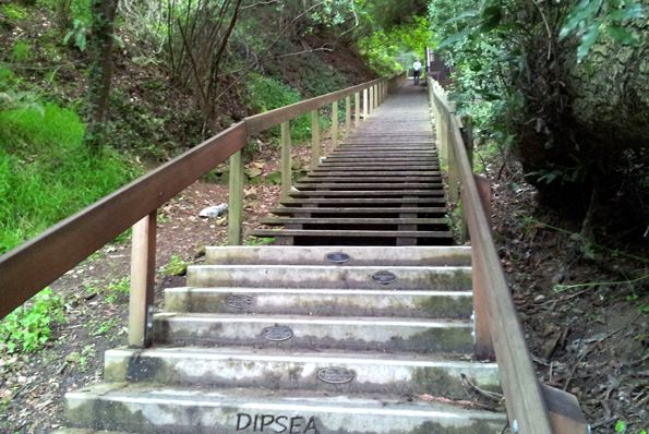 Outdoorsie - Trail Running 101: The Dipsea Trail