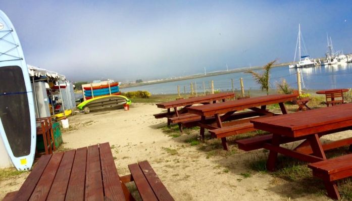 Pillar Point Harbor Tour from Outdoorsie