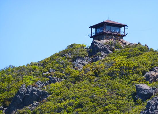 Outdoorsie - Mastering the Vertical K: Mt. Tam Hill Climb
