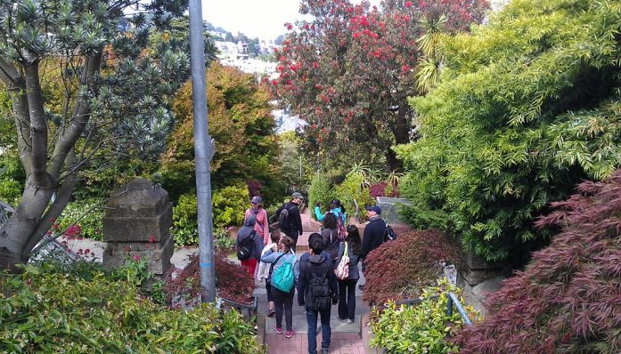 Urban Jungles and City Heights from Outdoorsie