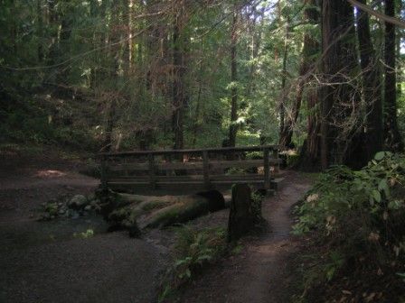Outdoorsie - Beginning/Intermediate/Advanced Trail Running Basics: Mt. Tam Lakes & Northside