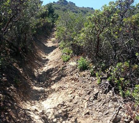 Mastering the Vertical K: Mt. Tam Hill Climb from Outdoorsie