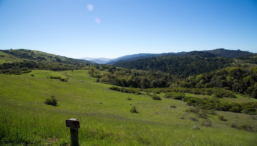 Mountain Bike Ride in the Peninsula