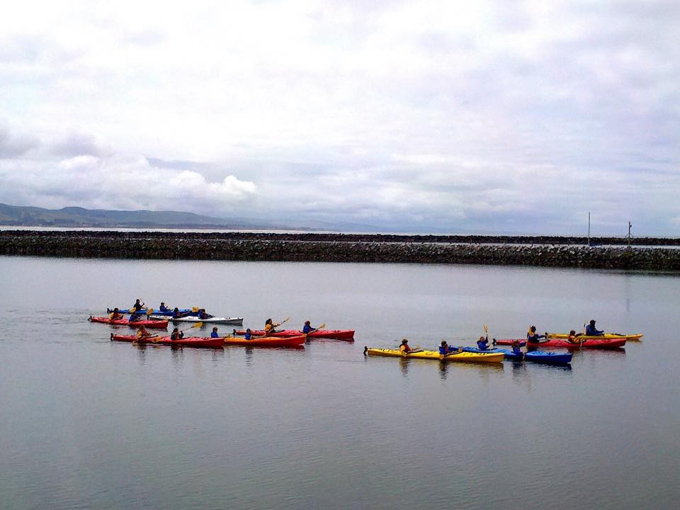 Pillar Point Harbor Tour
