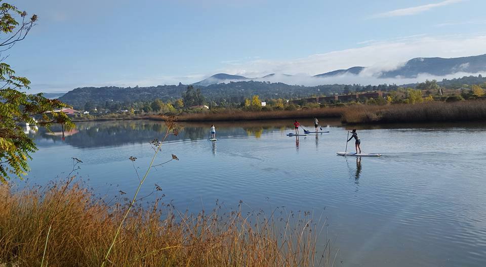 Introduction to Stand Up Paddling on the Napa River